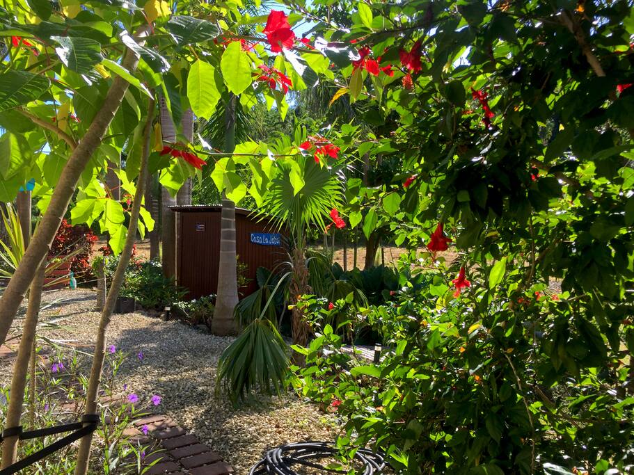 Backyard at Casa La Joya.