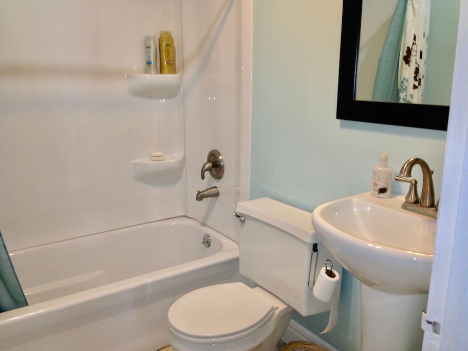 Shower or bathtub options. Fresh towels. Shampoo, conditioner, soap and hair dryer available.