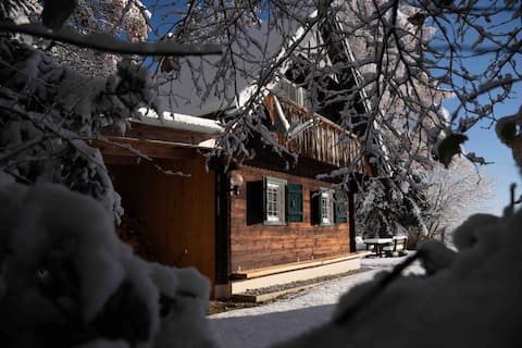 house in the middle of a forrest