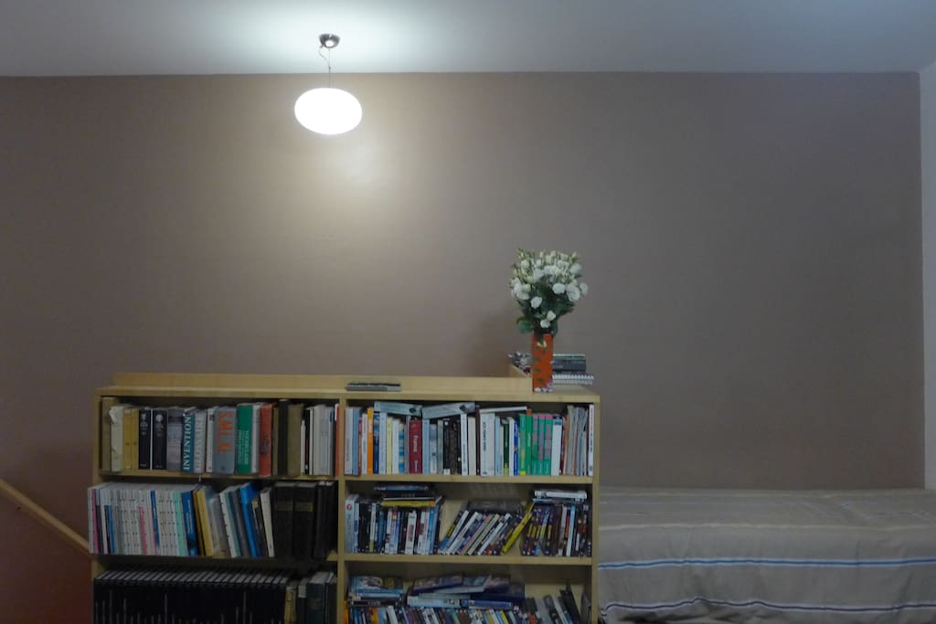 La bibliothèque composée de livre et de DVD à coté d'un lit simple.