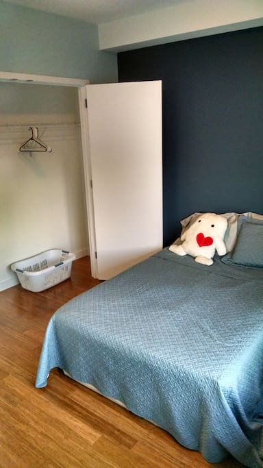 The room has a large wall closet