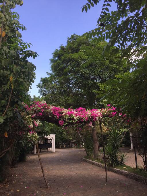 Estamos en la naturaleza un poco alejados de man cuidad sin embargo a 20 minutos de centro en bus y a 35 minutos a la playa más cercana