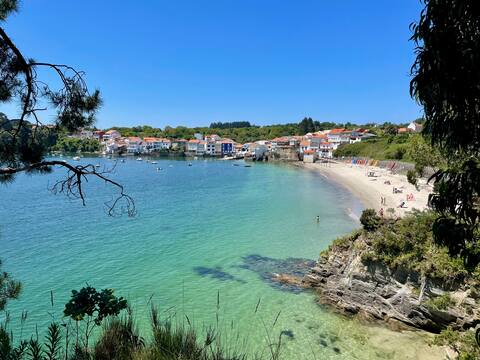 15-meter beach access NETS within 15 meters of beach access.