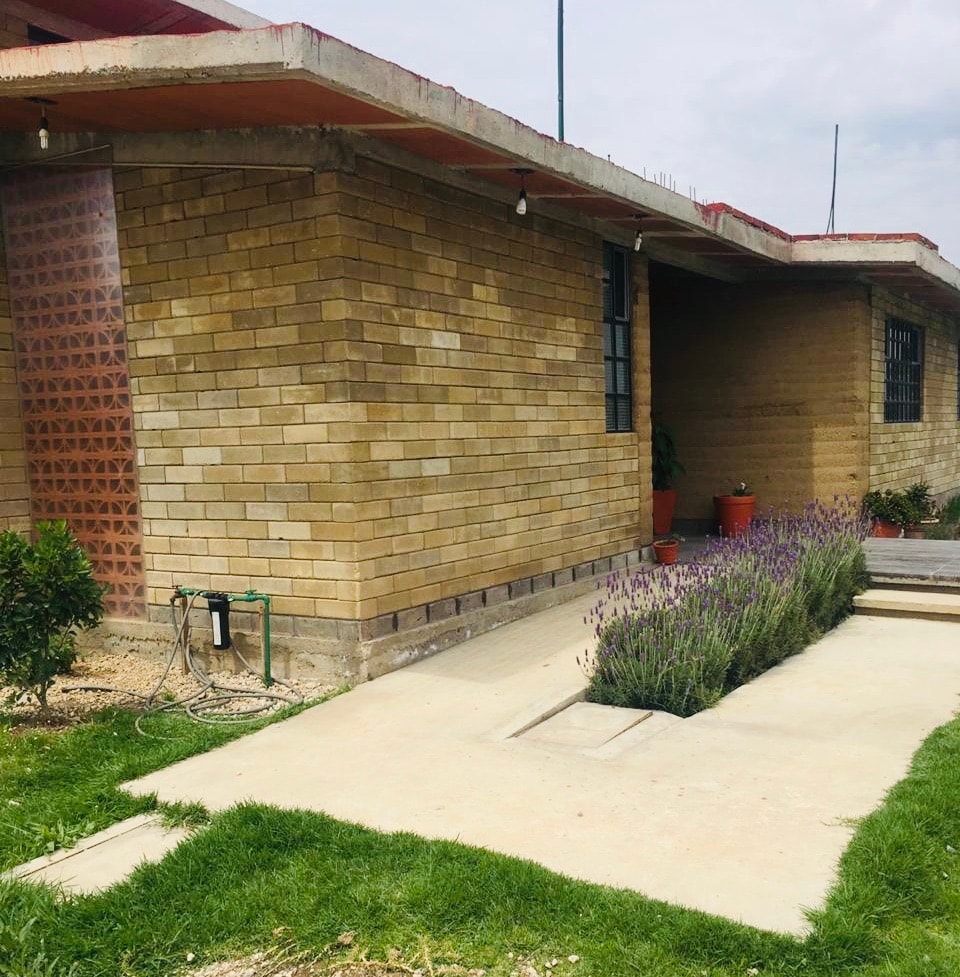 A single-story house is presented with a warm beige brick exterior. A well-maintained pathway leads to the entrance, bordered by a neatly trimmed lawn. Lavender plants are arranged along the side of the walkway, contributing to a tranquil outdoor environment.