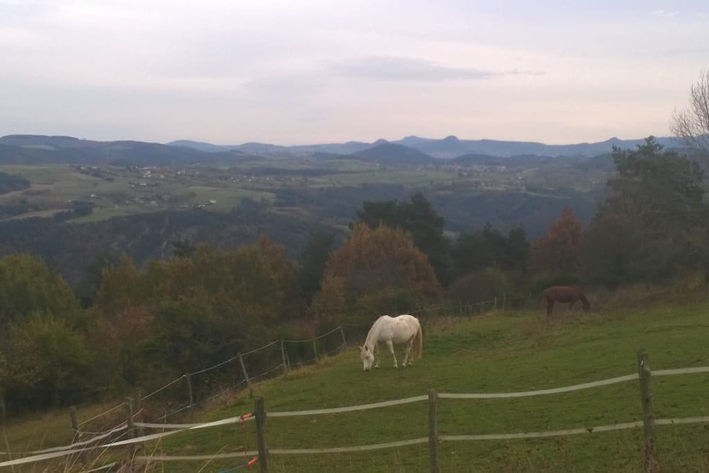 Vue sur Parc aux Chevaux