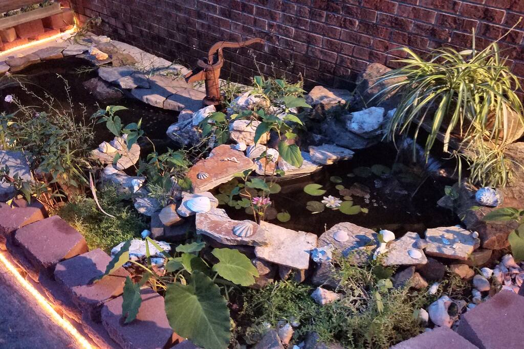 Soothing pond with waterfalls