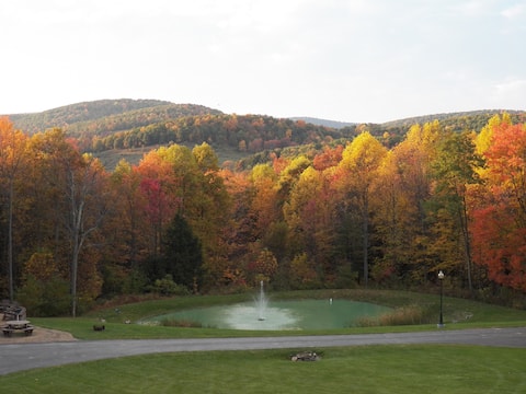 Tranquil 5 BR PSU log home with amazing views!