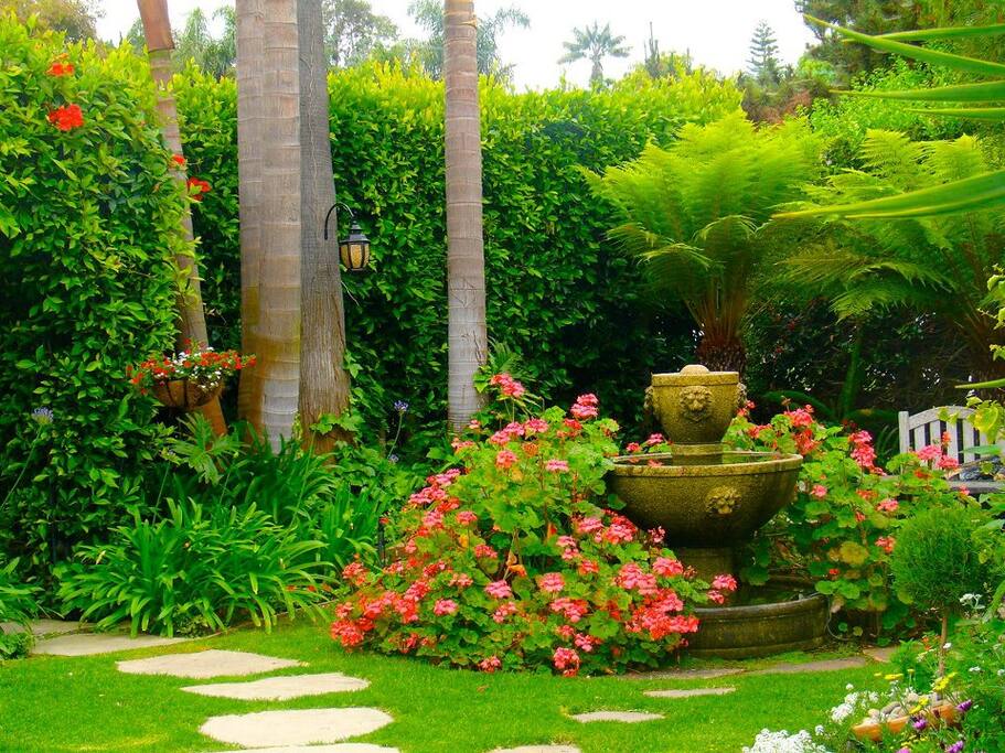 The front yard fountain. Birds of all types gather here