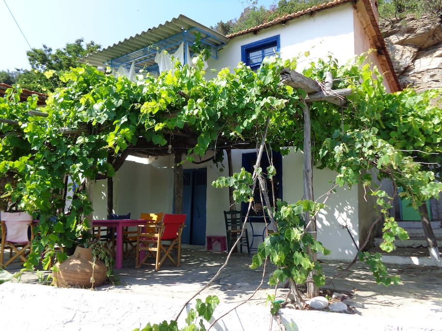 A view of the house