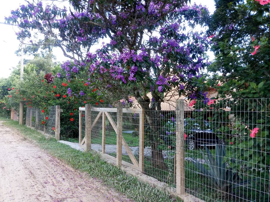 vista frontal