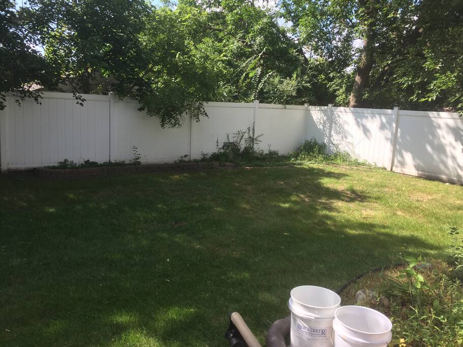 Backyard and patio