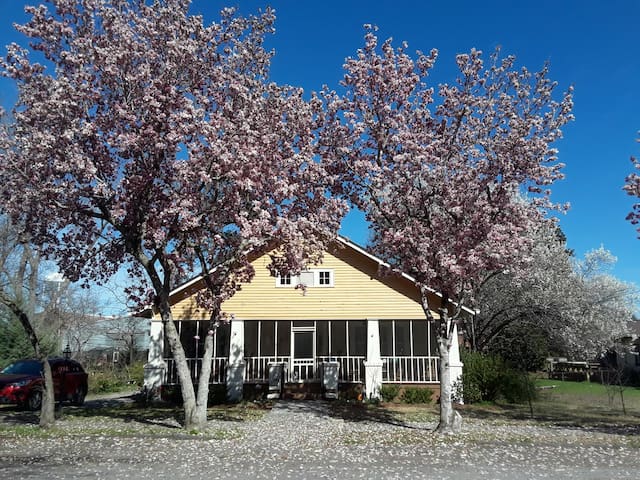 Airbnb Pine Mountain Vacation Rentals Places To Stay