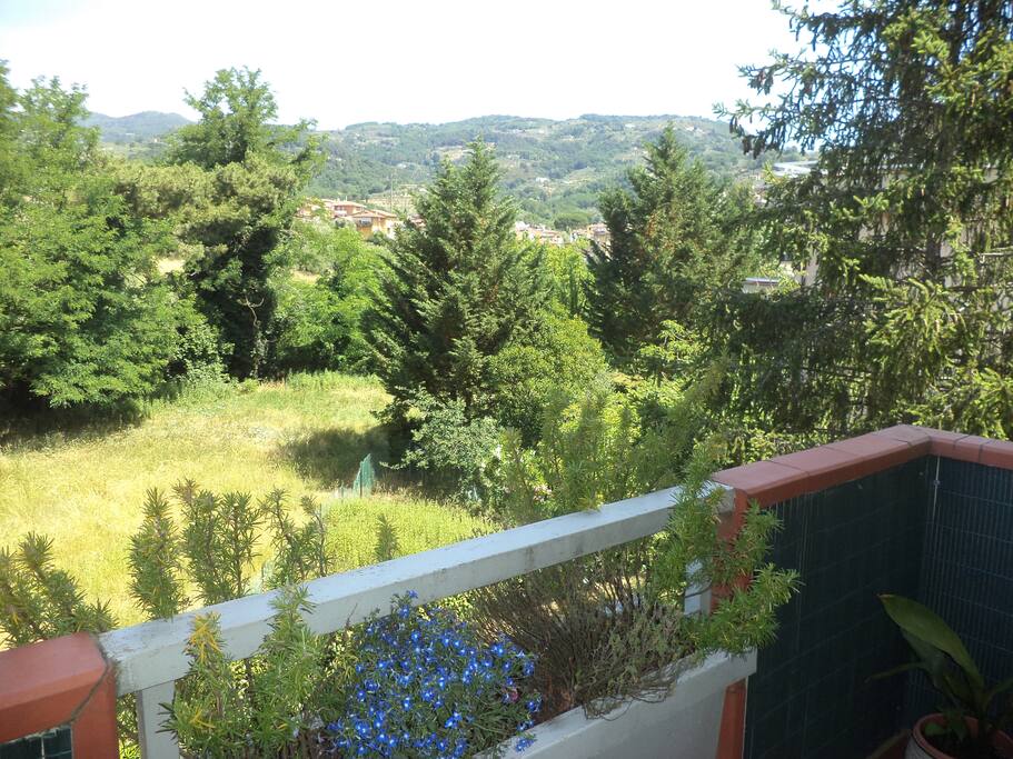 VISTA SUL VERDE