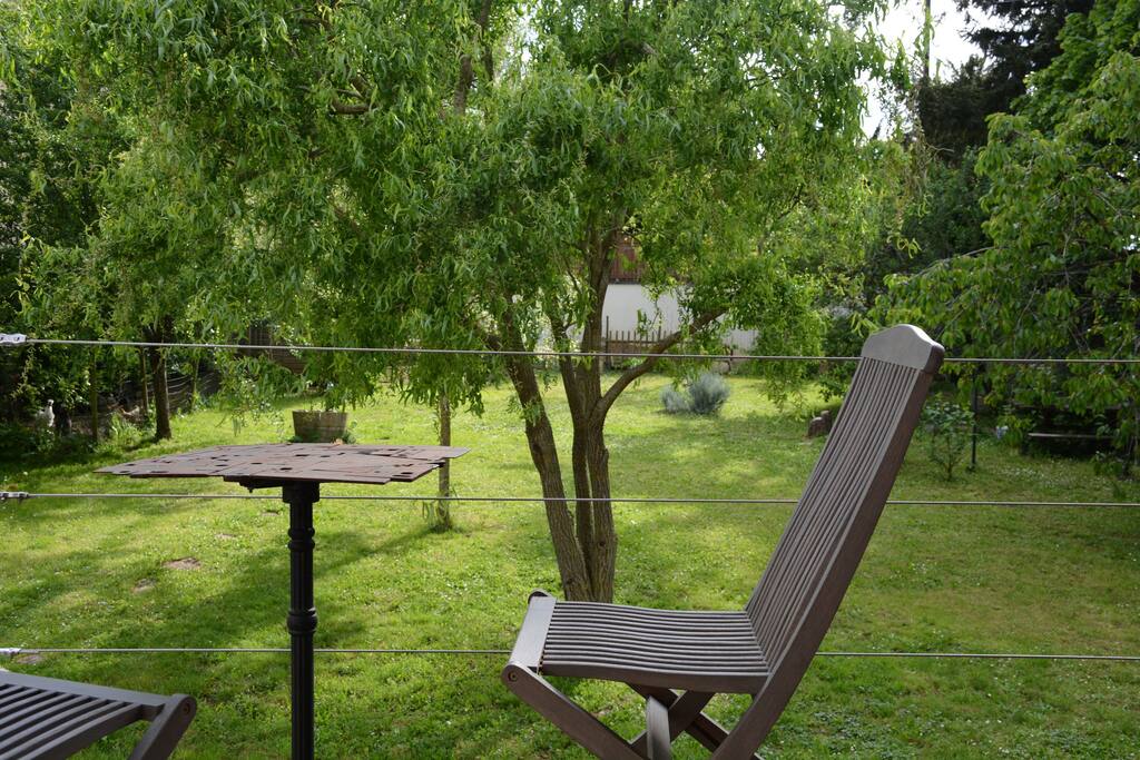 Le jardin vu de la terrasse.