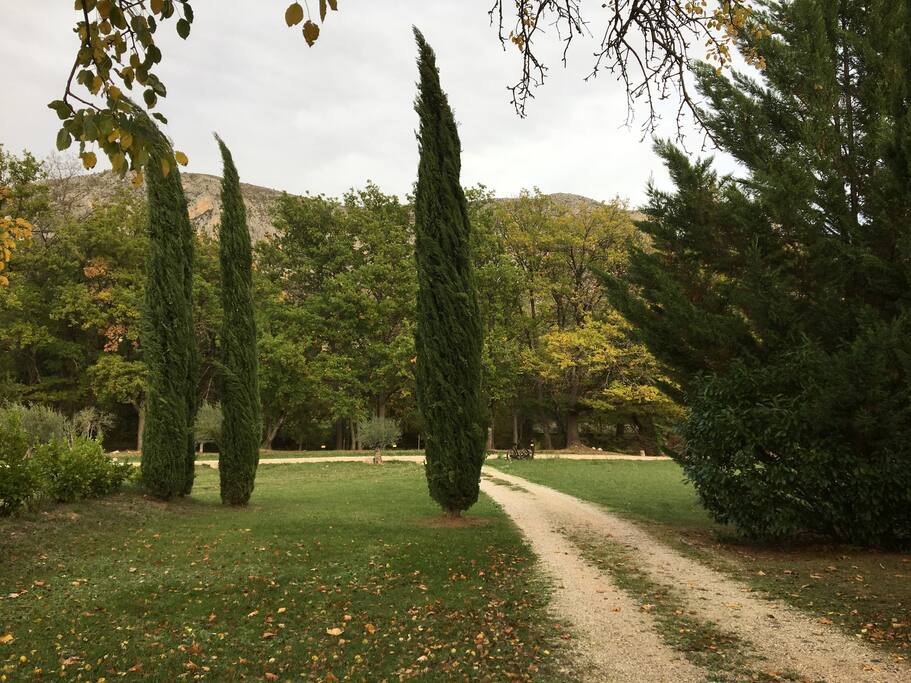 Chemin d'accès privé à la maison