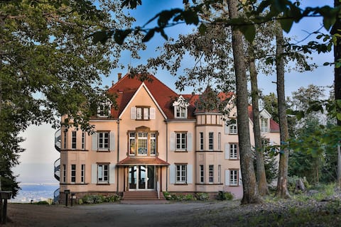 Large Regina Gite with stunning views of Colmar