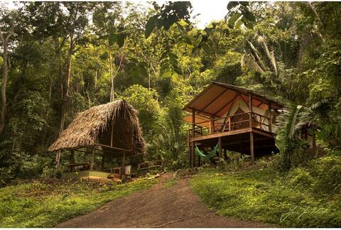 Shade Tree Glamping
