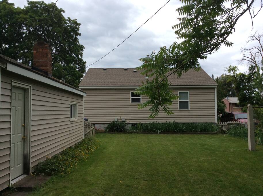 Big backyard with lots of grass and organic fruit trees