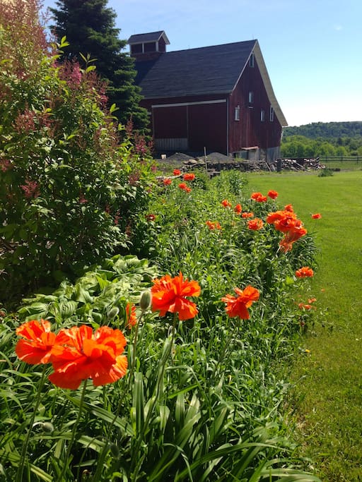 View of the barn from the yard