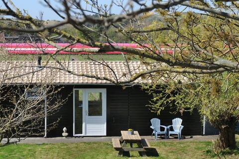 Chalet with unique view over the dunes from Egmond