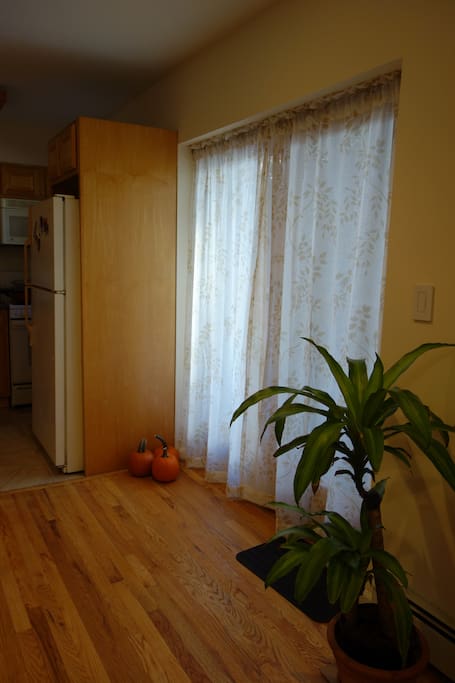 Sliding doors to outdoor terrace.
