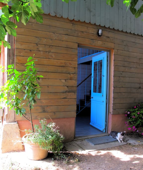 côté jardin : la cabane