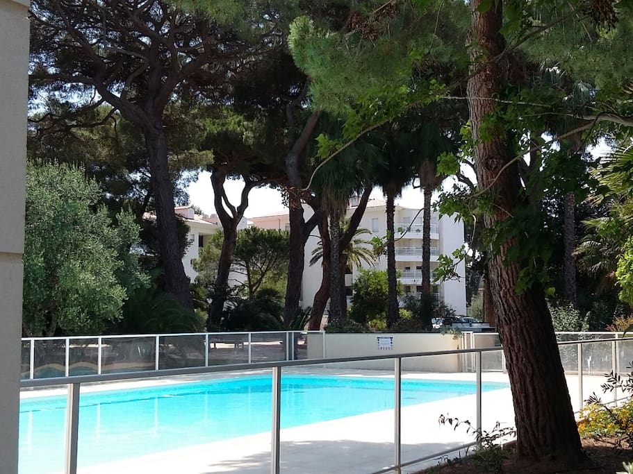 Piscine de la résidence