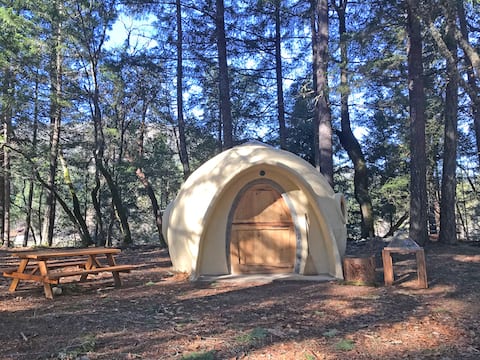 Forest Dome Home