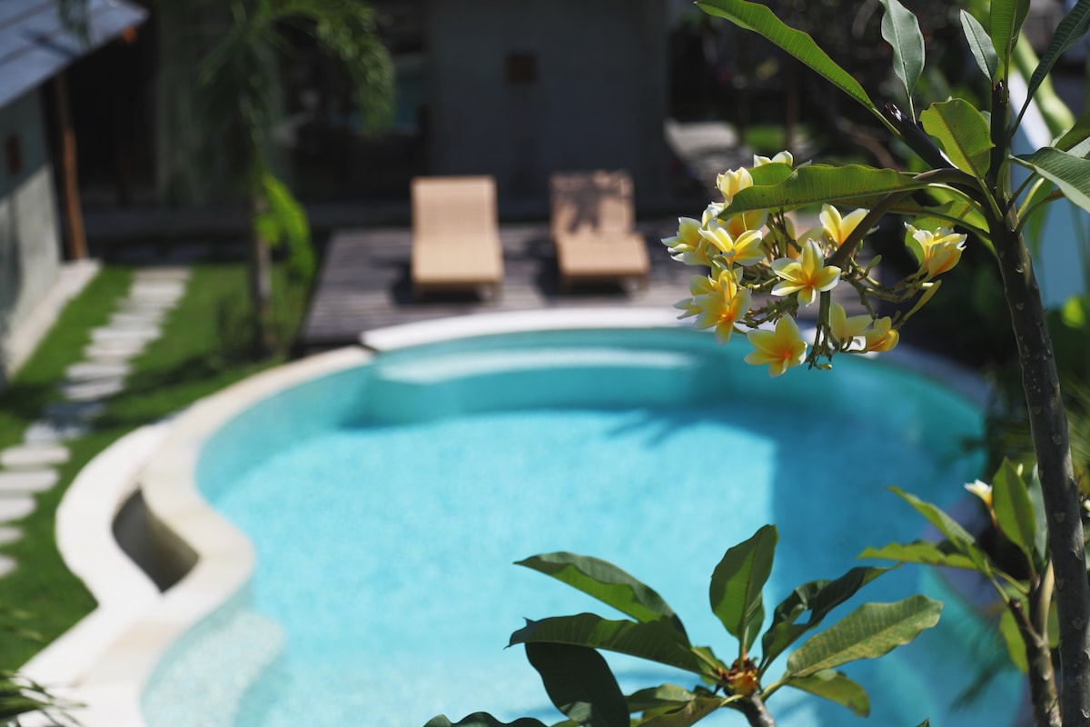 A serene pool area is framed by lush greenery, showcasing a clear blue pool surrounded by a smooth patio. Two lounge chairs are positioned nearby, offering a comfortable space for relaxation under the warm sun.