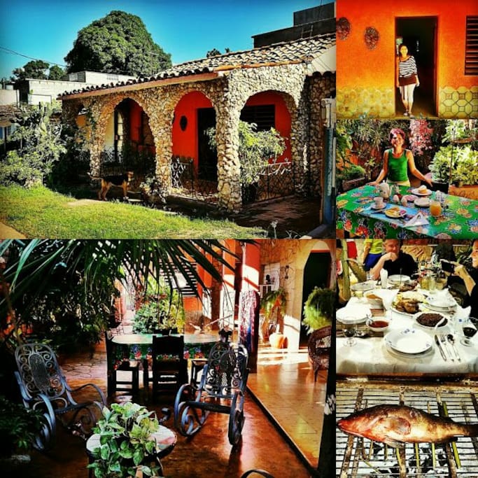 Welcome to Casa Kiwi / El Jardin