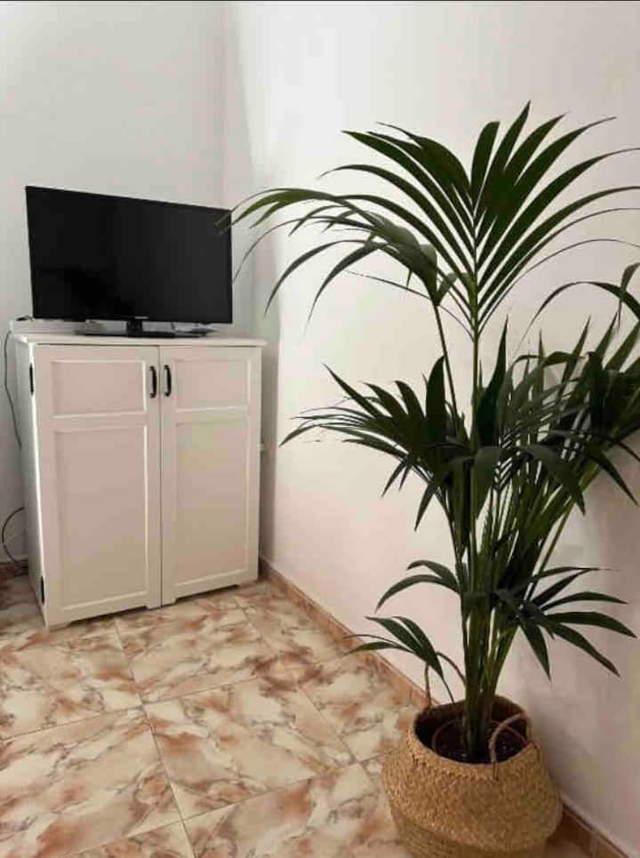 Apartamento La Fortaleza - Valle Gran Rey