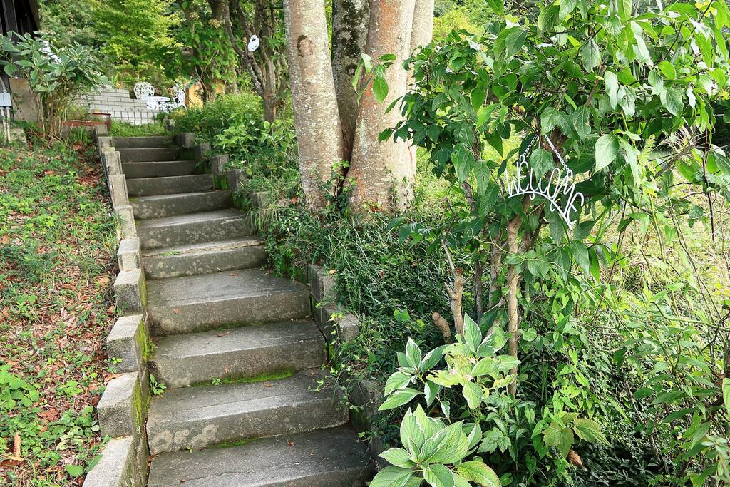 この道から庭へ。