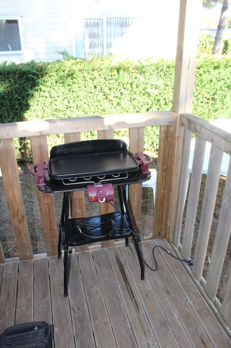 Barbecue/plancha