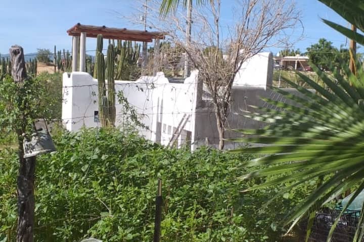Santo Cacto 5 Min Playa Central And Toronet Wifi 借りられる一軒家 La Ventana バハ カリフォルニア スル州 メキシコ Santo Cacto 5 Min Playa Central And Toronet Wifi 借りられる一軒家 La Ventana バハ カリフォルニア スル州 メキシコ