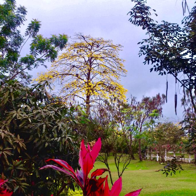 Naturaleza típica y especial de nuestro país Ecuador