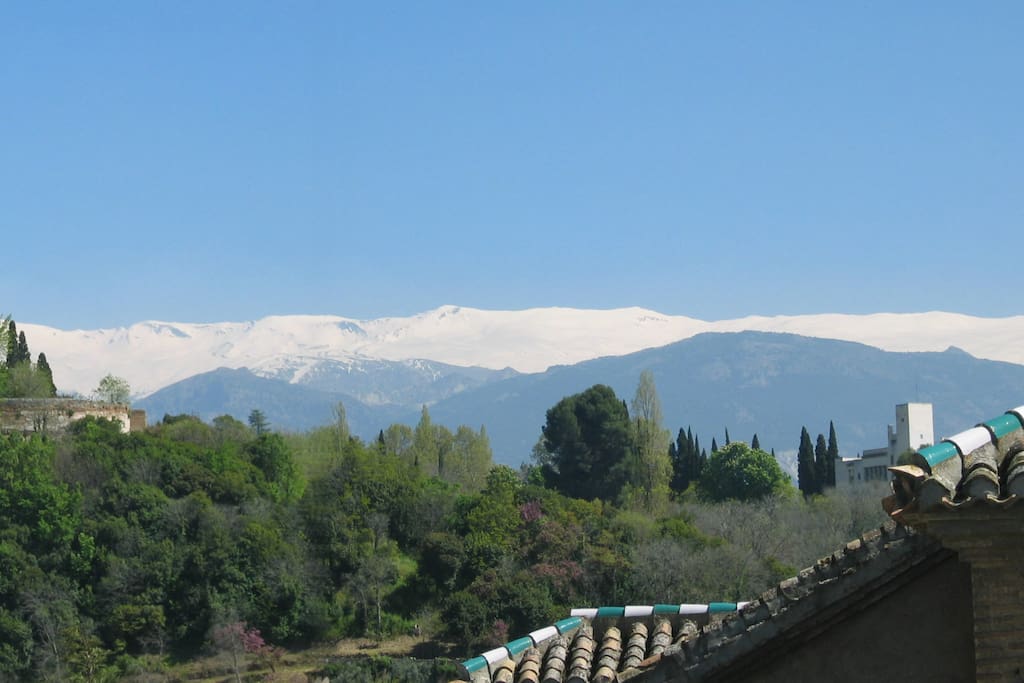 Views of the mountains from the torreon terrace