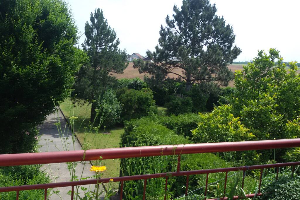 View from spacious terrace. We grow herbs on terrace, so you can add them to your cooking.