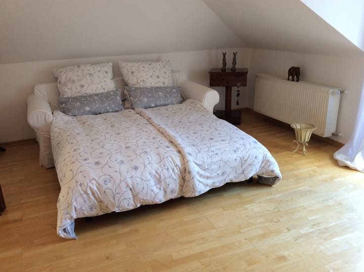 ספה אחת נפתחת בסלון