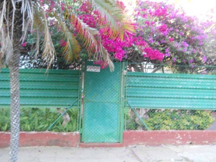 Puerta de Entrada al Jardín