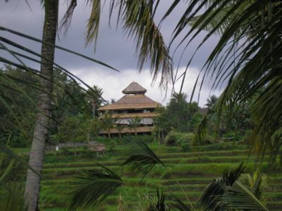Back View of Villa from Across the Rice Fields