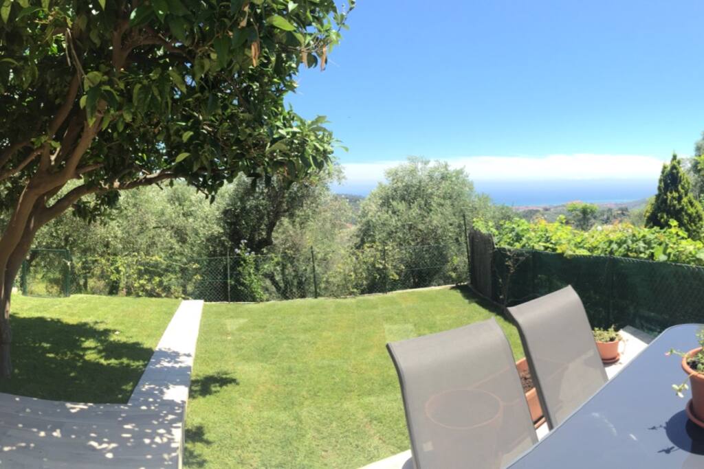 Giardino