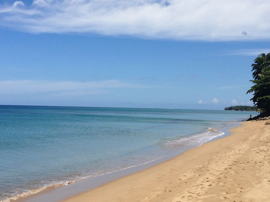 Sea Beach,excellent beach community with an amazing calm swimming beach, steps from Concha Azul, located near beach restaurants and beach bars, walk to town.