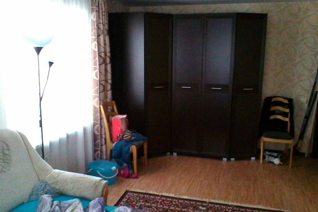 Гостинная с диваном кроватью и мебелью для одежды.