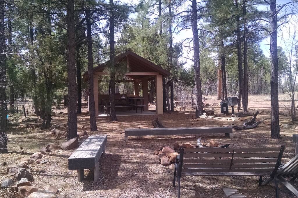 Picnic and fire ring area