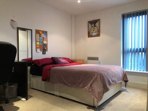 Bright and cozy ensuite room - L1