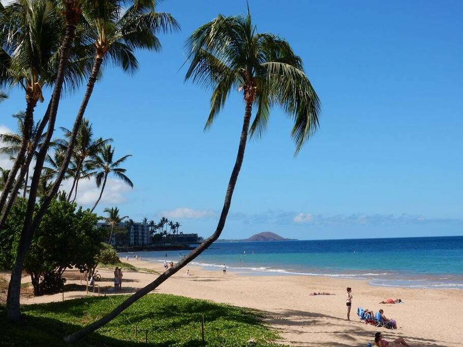 Charley Young Beach