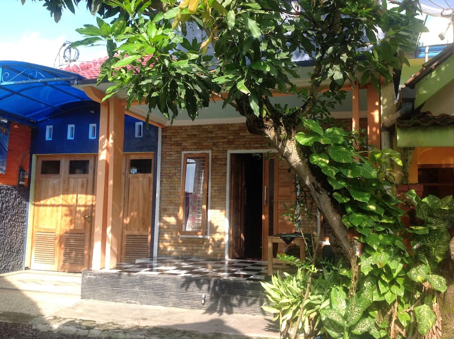 Front look of the house with green mini garden