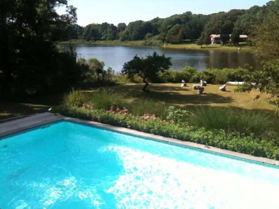 Waterfront Pool
(Optionally Heated) with Pond, Swan, etc.!