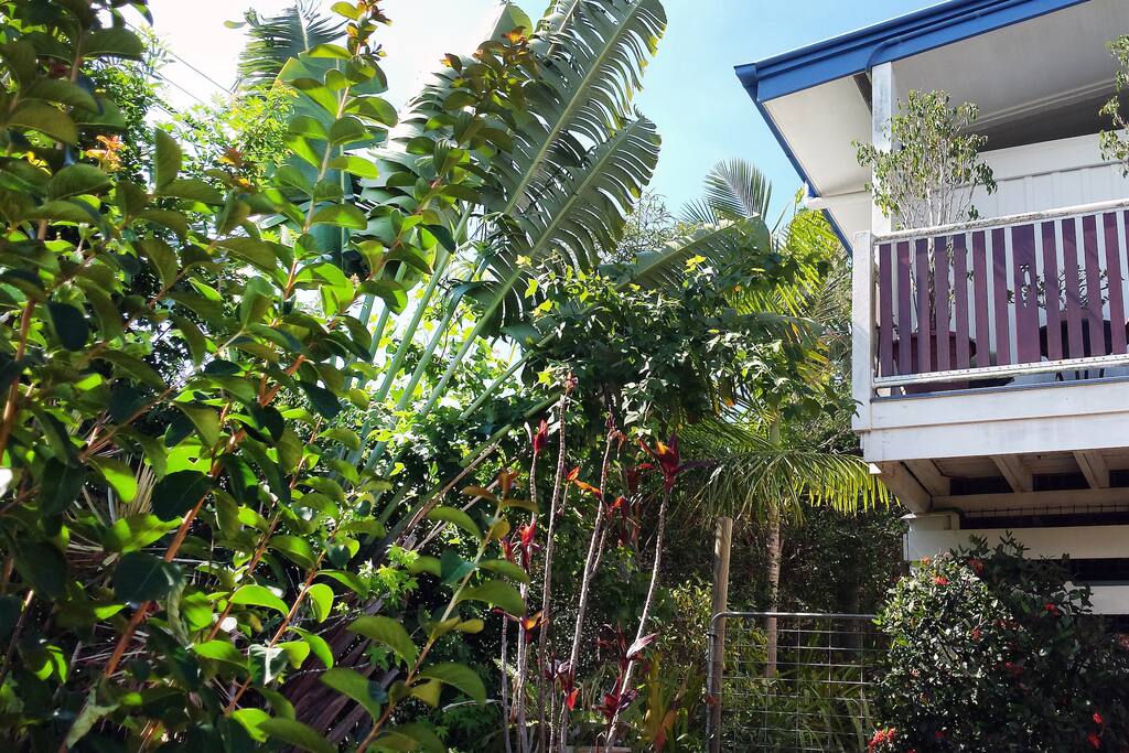Private gardens surround the house.