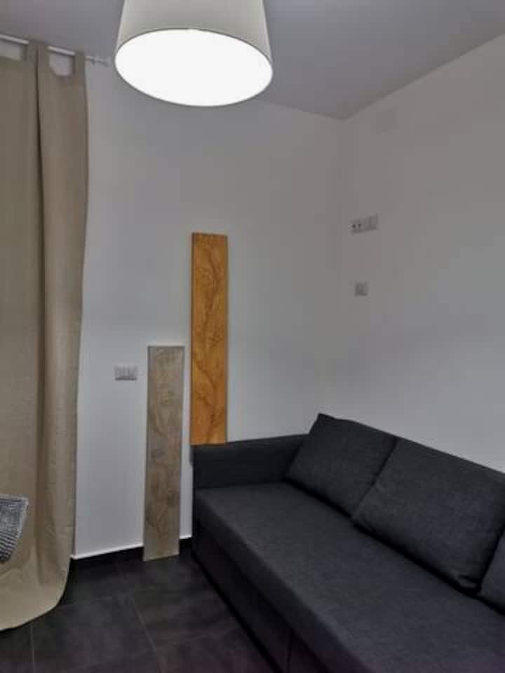 卧室配有沙发床、电视和书桌